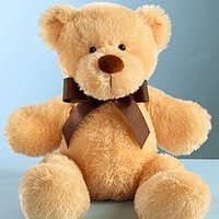 Teddy bear